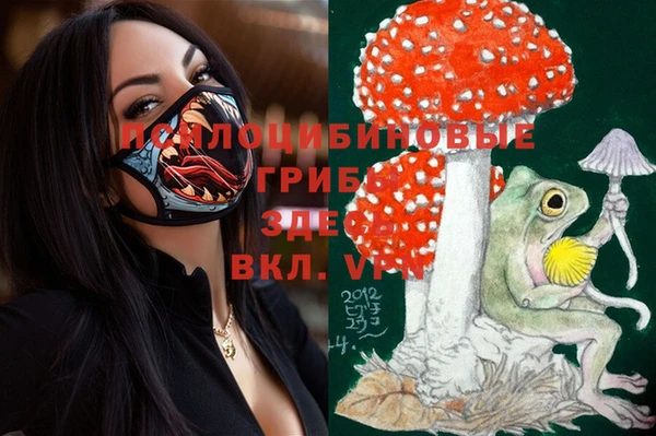 спайс Гусев