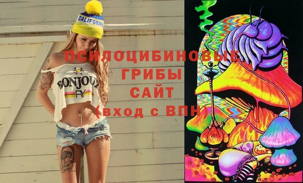гидропоника Гусь-Хрустальный