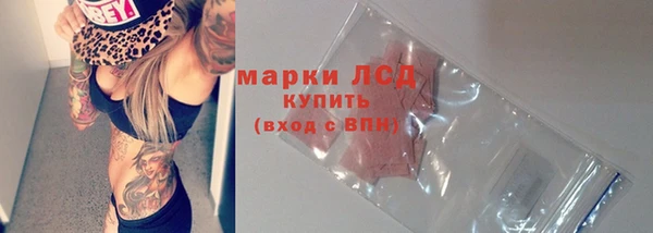 соль ск Дмитриев