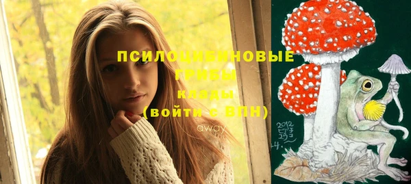 марихуана Гусиноозёрск