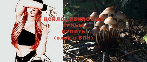 гидропоника Гусь-Хрустальный