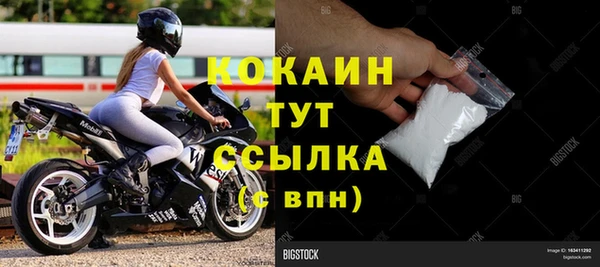 сатива Вяземский