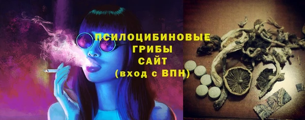 гидропоника Гусь-Хрустальный
