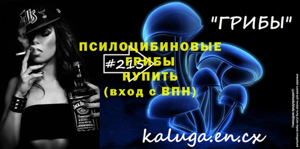 спайс Гусев