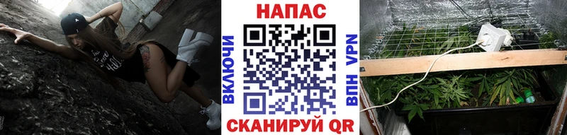 купить наркоту  Давлеканово  Конопля гибрид 